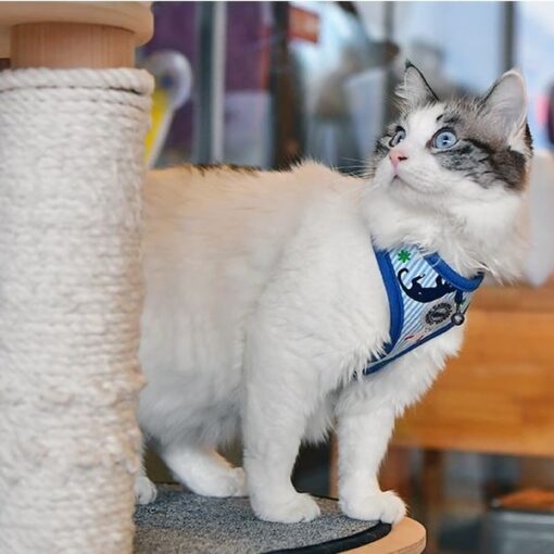 Catspia Faye kattesele blå fra siden