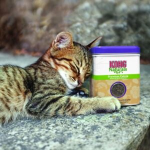 KONG Cat Catnip - Økologisk kattemynte 28 gr